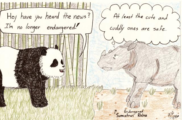 Giant+Pandas+Are+No+Longer+Endangered
