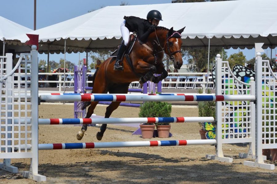 Freshman Equestrian Takes the Reins to Reach the Olympics