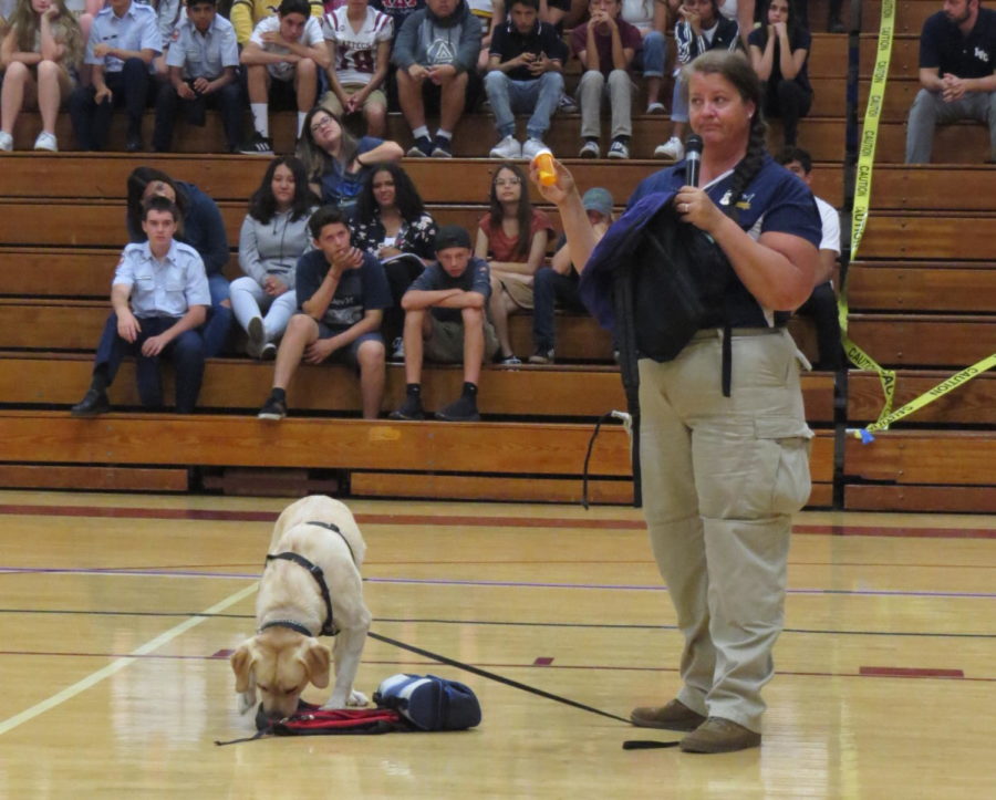 Tonya Anderson, with the help of Mia the yellow lab, find medications in an example backpack at the Drug Dog Assembly.