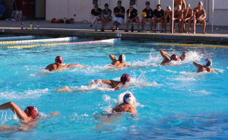The Varisty Waterpolo team playing against El Dorado High School at their last home game.