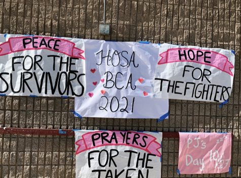 HOSA Raises Awareness For Breast Cancer